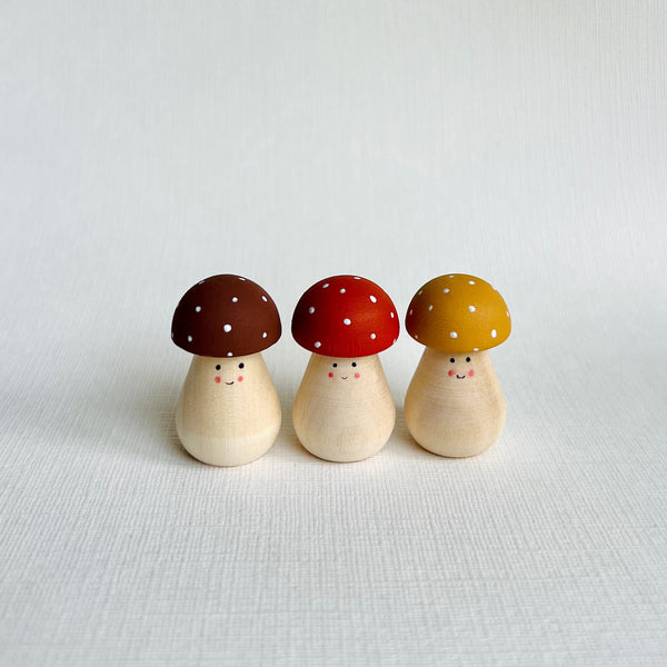 Mini Porchini Mushrooms