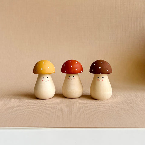 Mini Porchini Mushrooms