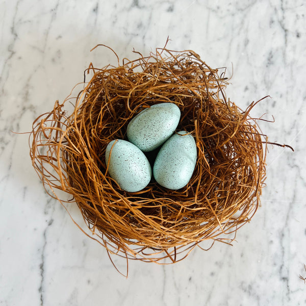 Mini Robin Eggs in Nest {FREE SHIPPING}