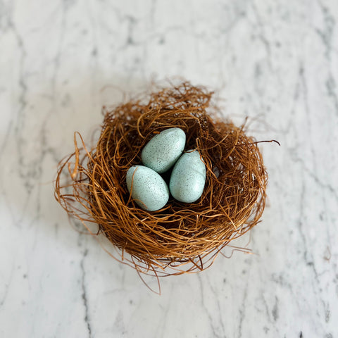 Mini Robin Eggs in Nest {FREE SHIPPING}