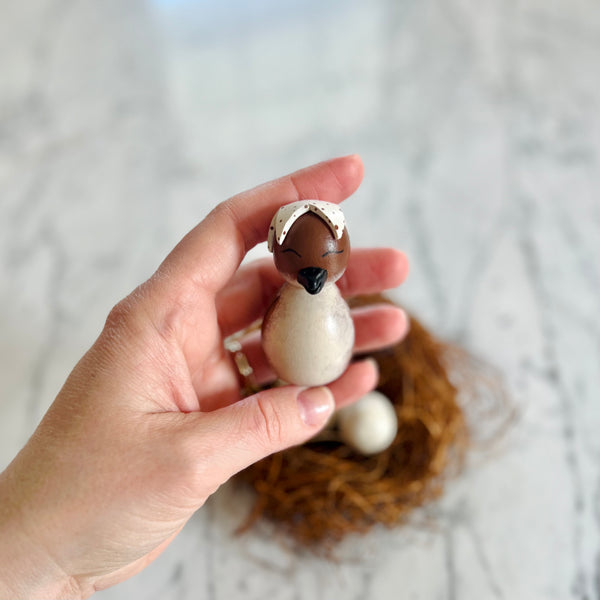 Baby Bird and Eggs in Nest {FREE SHIPPING}