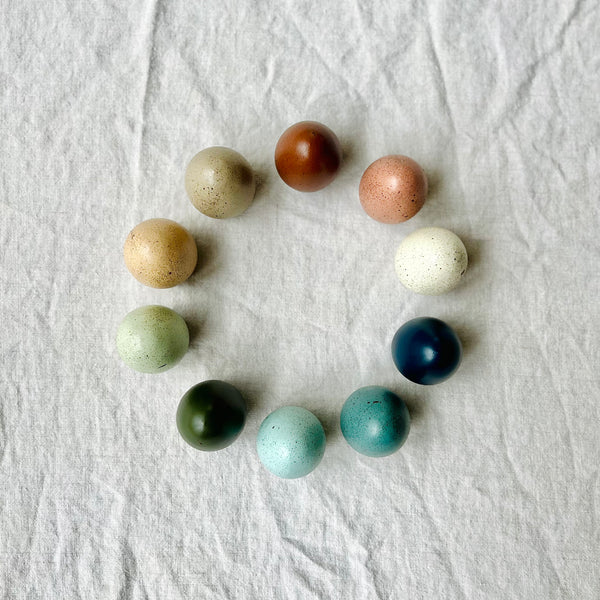 Set of Ten Large Speckled Eggs {FREE Shipping}