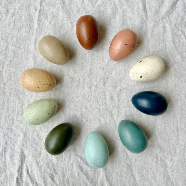 Set of Ten Large Speckled Eggs {FREE Shipping}